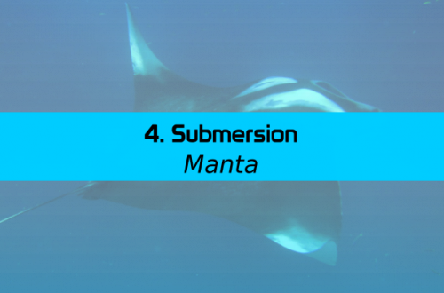 Bandeau Manta - 04 Submersion et image raie manta