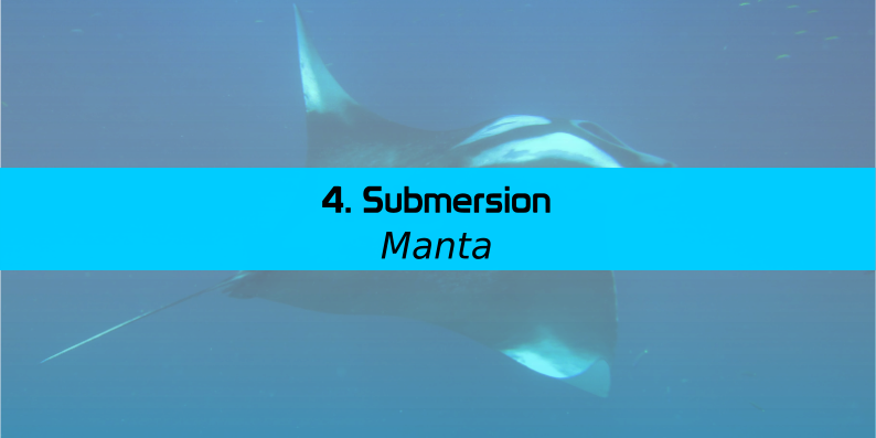 Bandeau Manta - 04 Submersion et image raie manta
