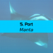 Bandeau : Manta 5 Port avec image raie manta